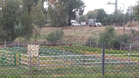 Image may contain: tree, sky, outdoor and nature